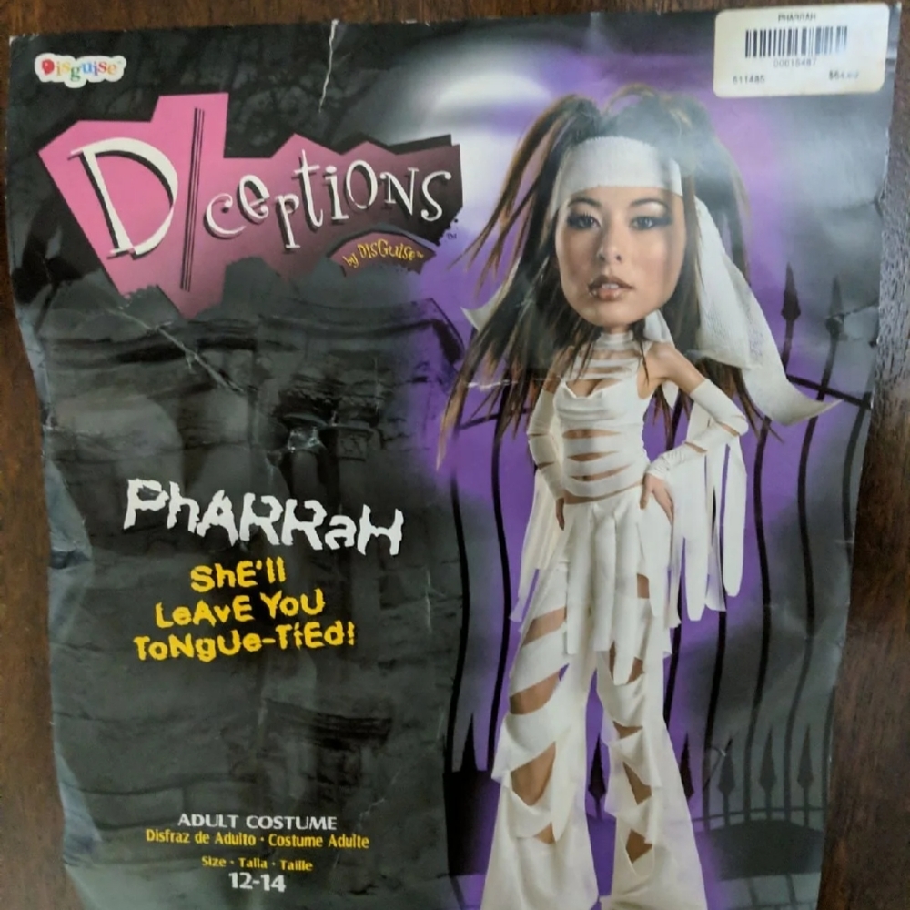 Halloween Mummy Costume